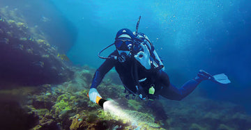 Debo Information Technology: Crossing the Turn of the Year and Diving into a New Chapter in 2025