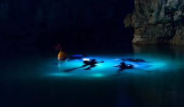 Flood vs Spot: Understanding Dive Light Beam Angles and Choosing the Right Light Underwater