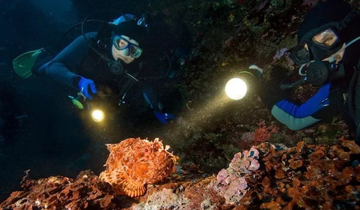 The Ultimate Night Diving Guide: Mastering Your Dive Light in the Dark