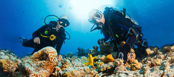 Essential Gear for Illuminating the Underwater World – Dive Torch