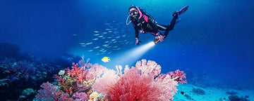The Ultimate Dive Light Guide: Types, Lumens & Buying Tips