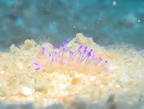 LetonPower Tynny-13SE Dive Light Full Review: Brightness, Runtime, and Beam Angle Explained