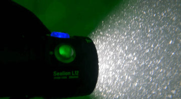 【Tauchliebe.de Expert Review】LetonPower Sealion L12: Dive Expert Marlon's Top Pick for Underwater Videography