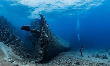 Illuminating the Vast Ocean: Lighting Techniques for Wide-Angle Diving Photography