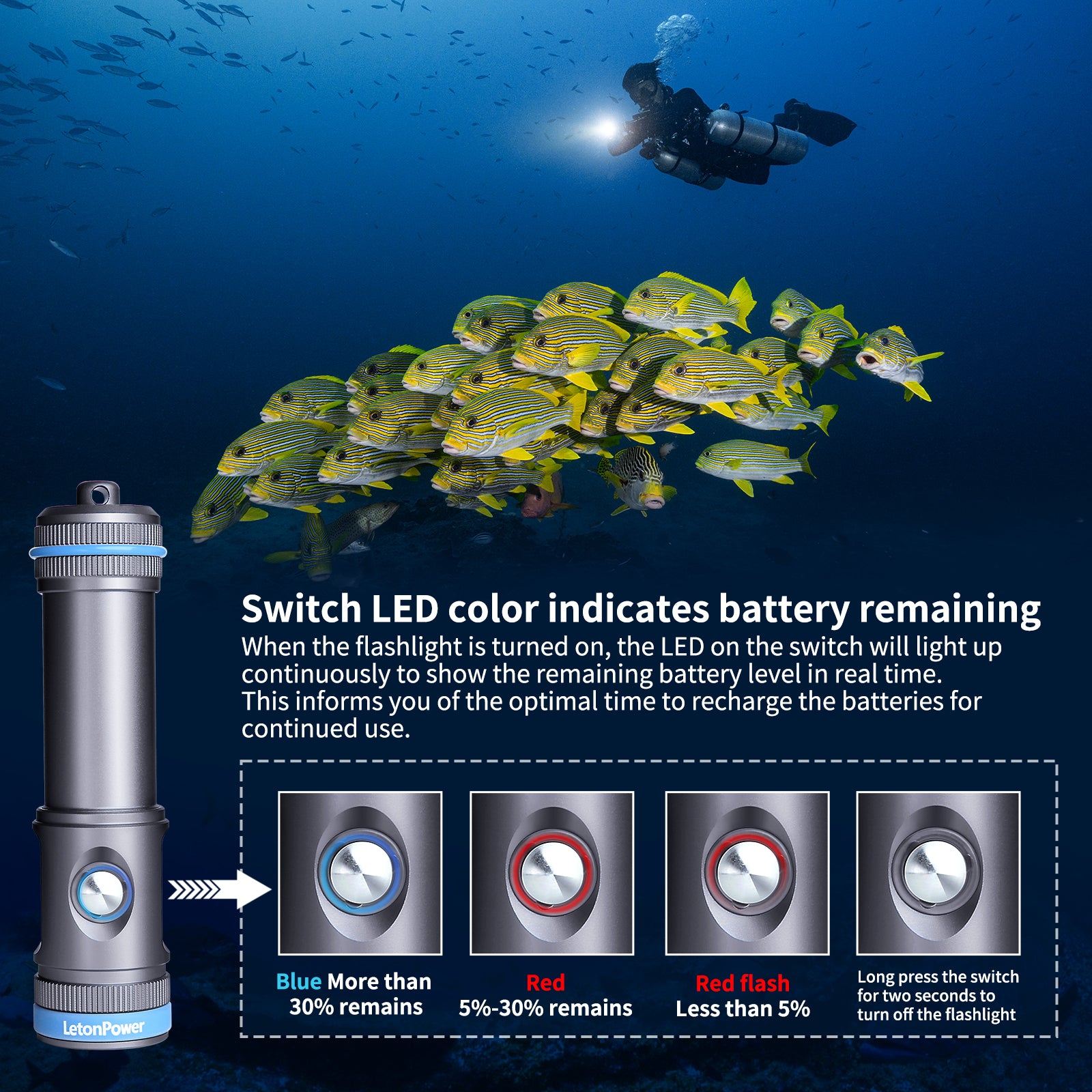 LetonPower Tynny-13FD 2200 Lumens 96 CRI White 110° Dive Video